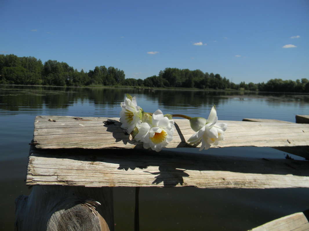 ...��������� ����, ����� ����! ����� ��������� �������  �� PhotoGeek.ru #������ ��� �������