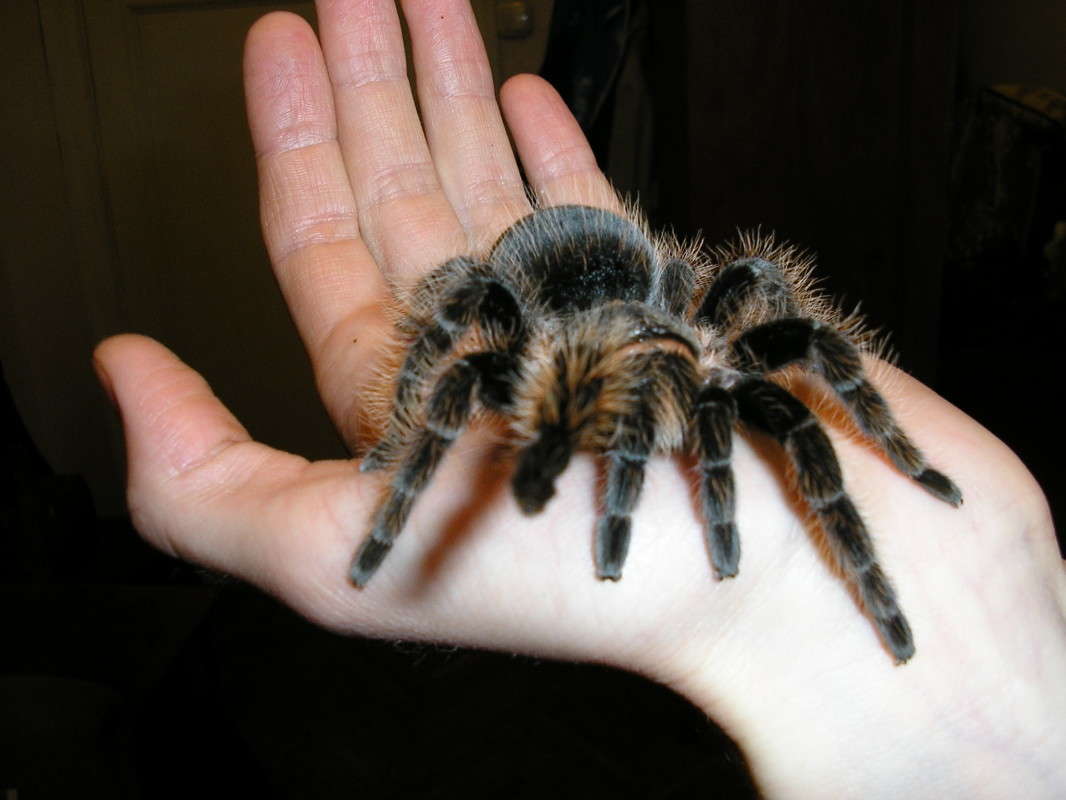 ..������ �� ��������... ����� ��������� �������  �� PhotoGeek.ru #�������� ���