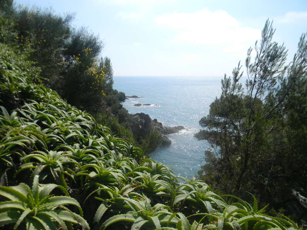 ..���� �� �������...)))) ����� ��������� �������  �� PhotoGeek.ru #������ ��� �������