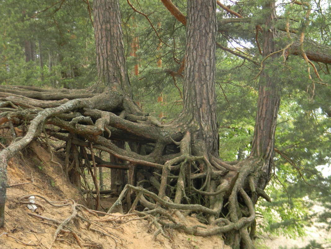 ... ����� ��������� �������  �� PhotoGeek.ru #������ ��� �������