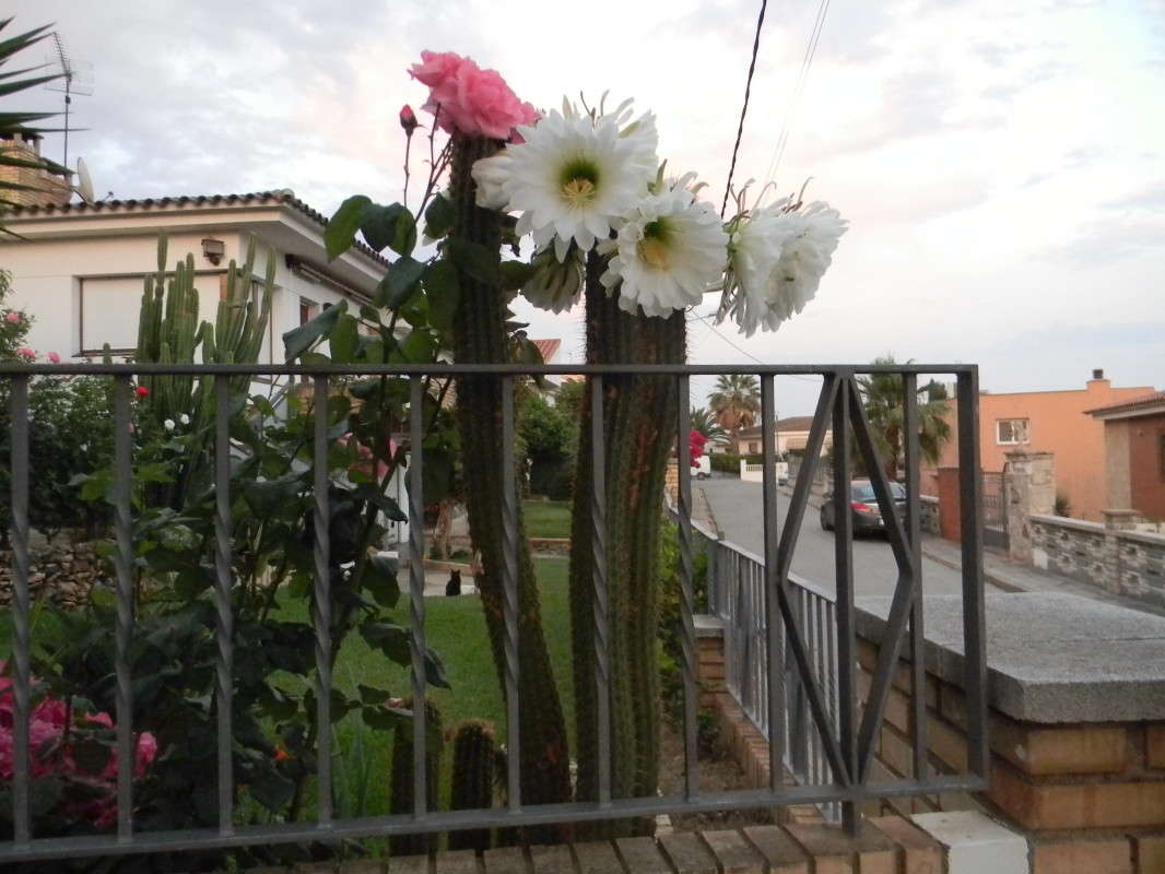 ...����� ������� �����...:))) ����� ��������� �������  �� PhotoGeek.ru #������ ��� �������