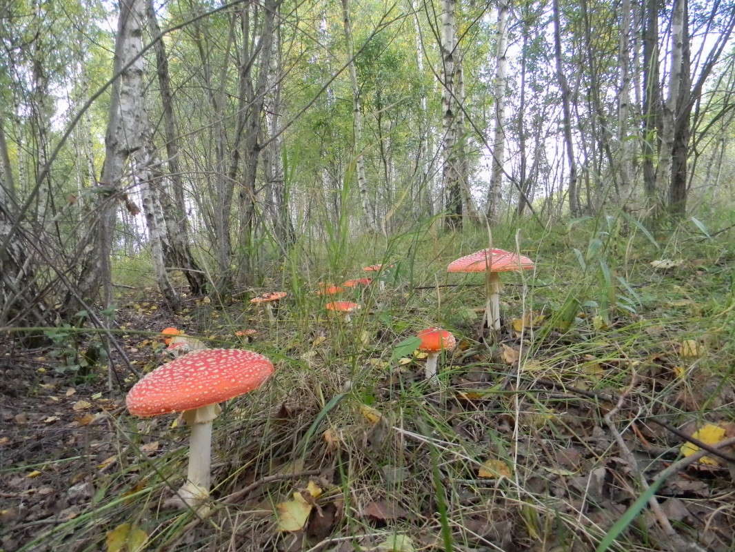 ...������ ����� ����� ��������� �������  �� PhotoGeek.ru #������ ��� �������