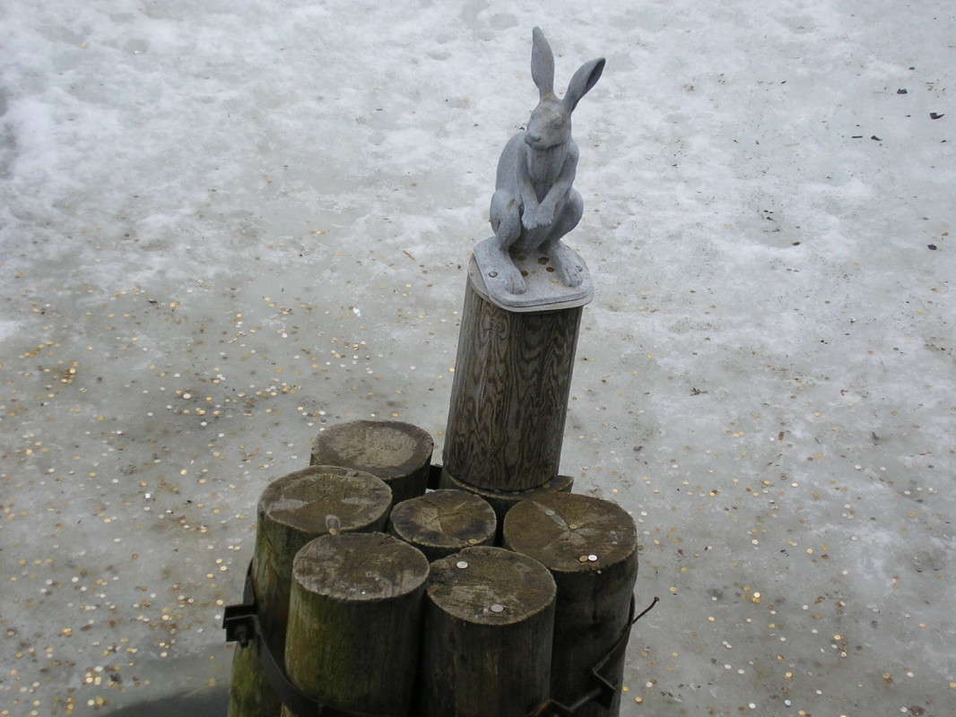 ....��������� ������� ������ � ��� ����� ��������� �������  �� PhotoGeek.ru #����� #�������� ����������