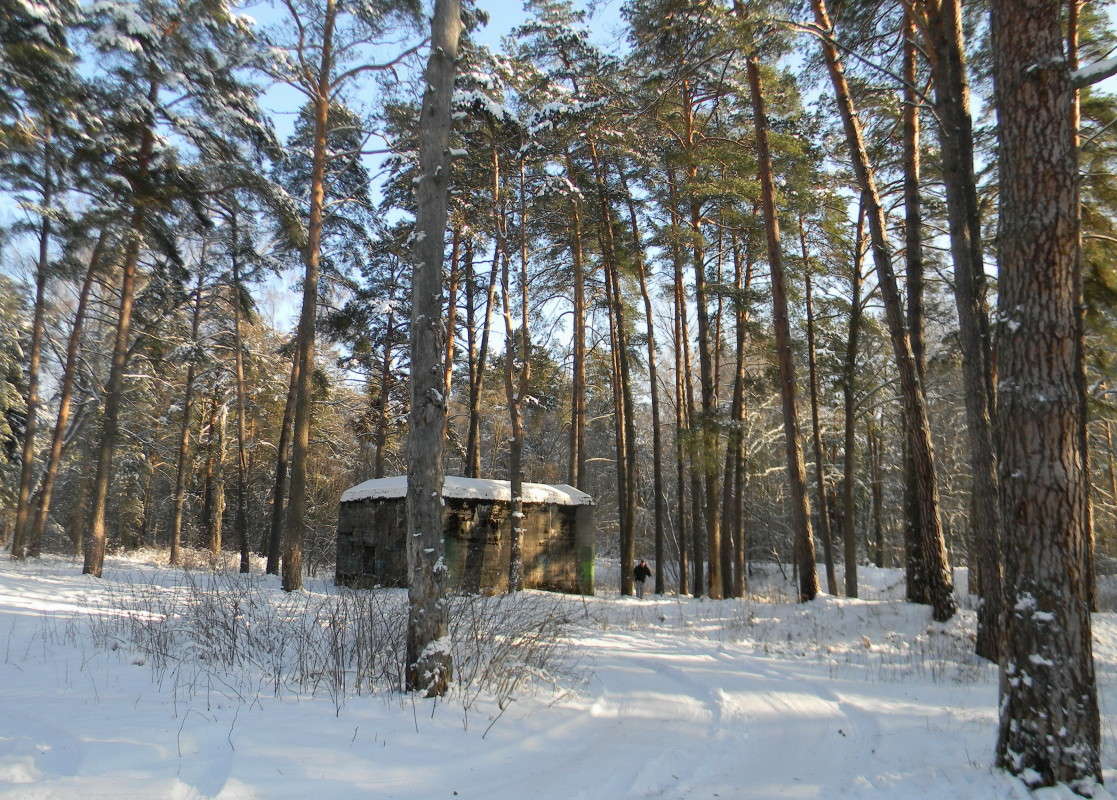 ������ ������� ��������� ������� (Barenhohle) ����� ��������� �������  �� PhotoGeek.ru #��������