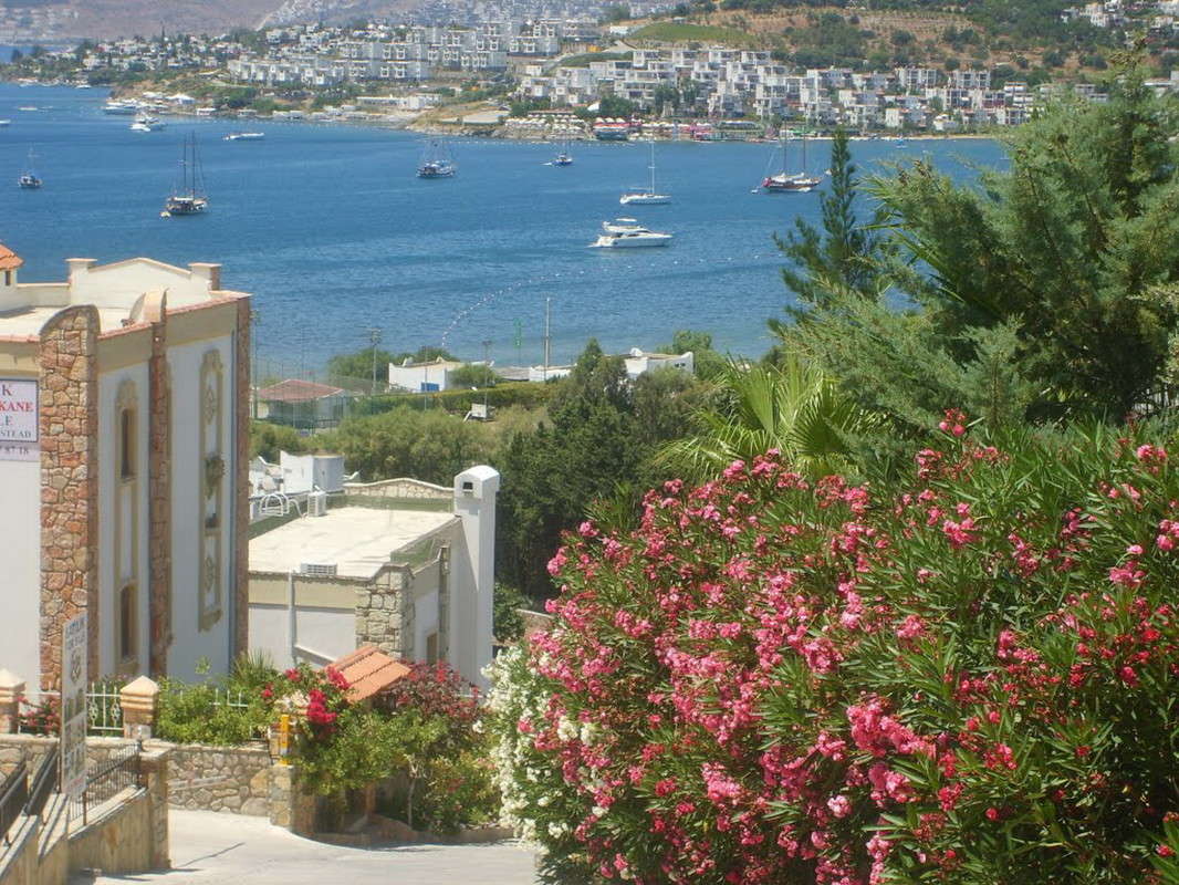 ...��� �� ������� ��������� � �������.. ����� ��������� �������  �� PhotoGeek.ru #������ ��� �������