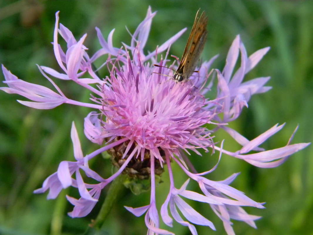 ... ����� ��������� �������  �� PhotoGeek.ru #�����