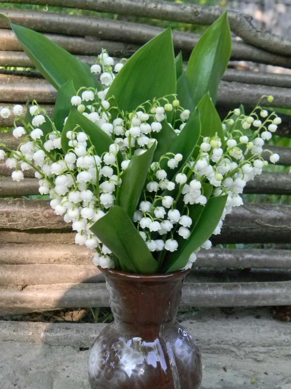 ....��, ����...!!!! ����� ��������� �������  �� PhotoGeek.ru #�����