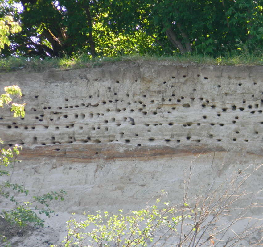 ....���������� �����������...)))) ����� ��������� �������  �� PhotoGeek.ru #�������� ��� #�������� ����������