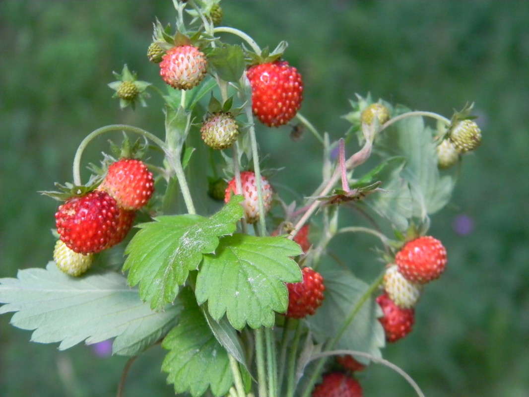 ����� ��������� � ������� ������� - ����, ����, ������...))) ����� ��������� �������  �� PhotoGeek.ru #�����