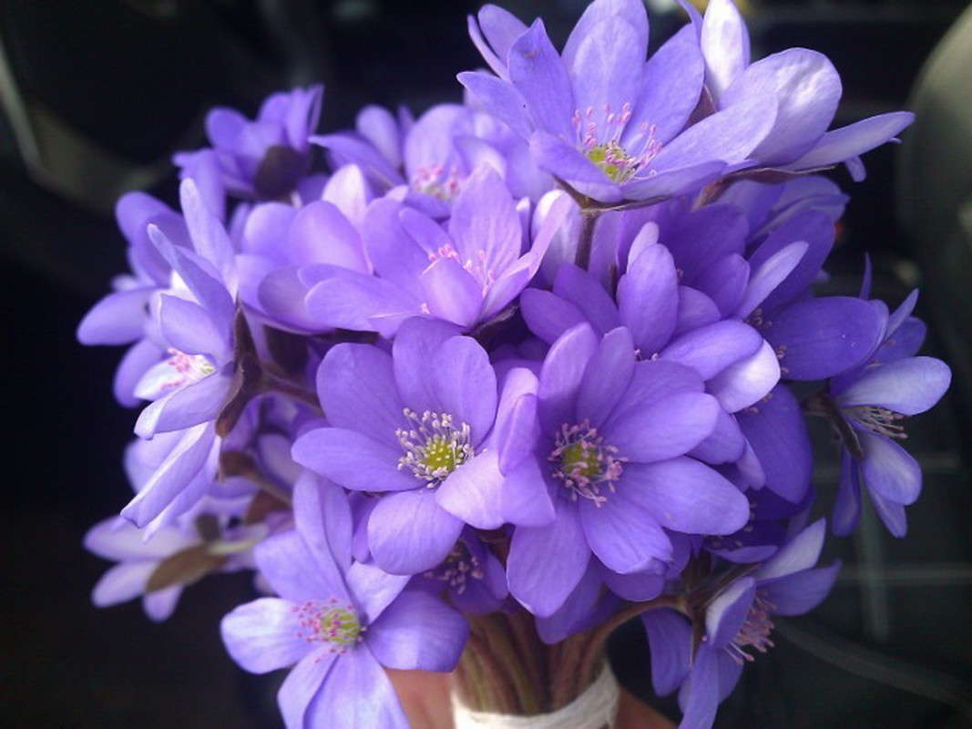 ...������ ����� ��� �����!!! ����� ��������� �������  �� PhotoGeek.ru #�����