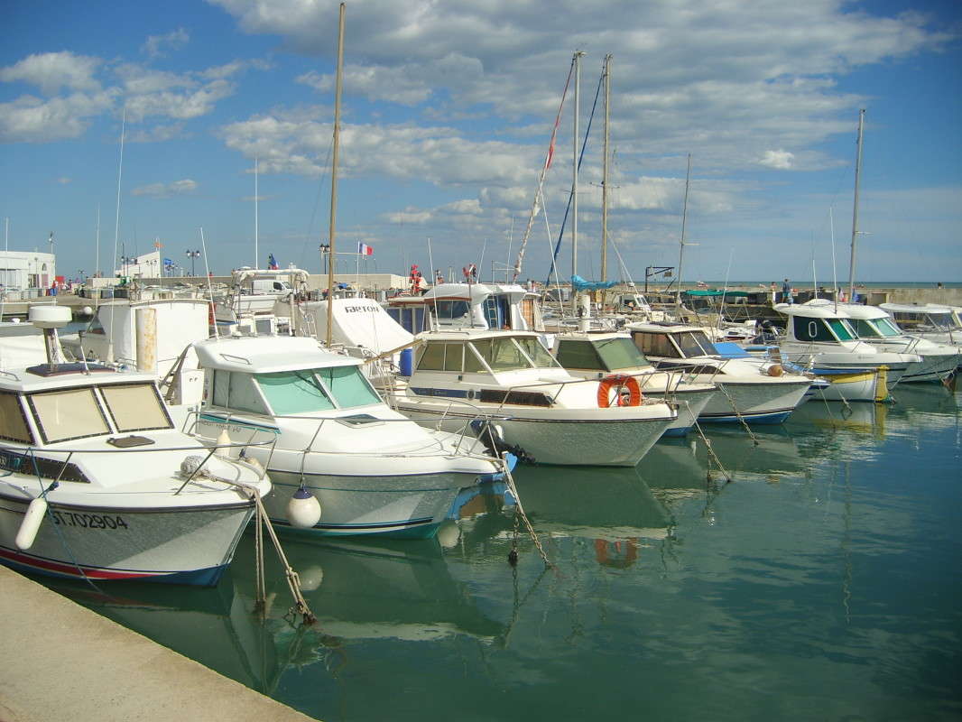 CAMARGUE ����� ��������� �������  �� PhotoGeek.ru #�����