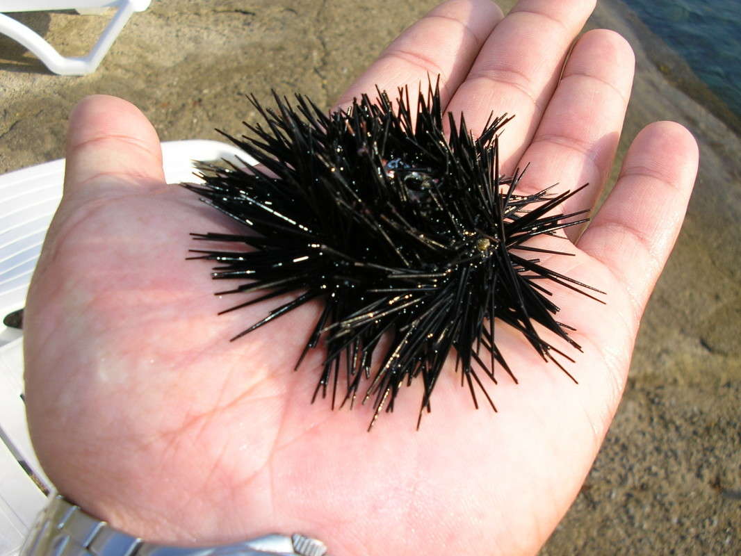 ....� ���? ���� ����!!! ����� ��������� �������  �� PhotoGeek.ru #�������� ���