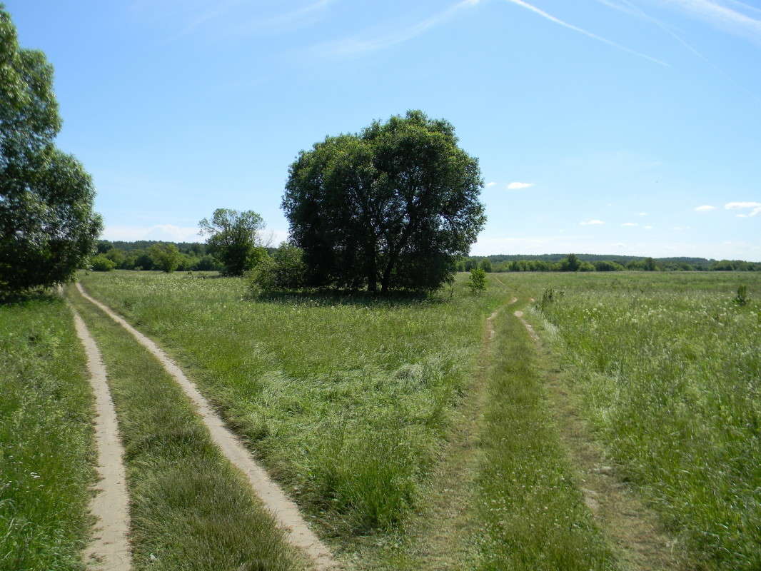 ������ �������� ����������)))) ����� ��������� �������  �� PhotoGeek.ru #������ ��� �������