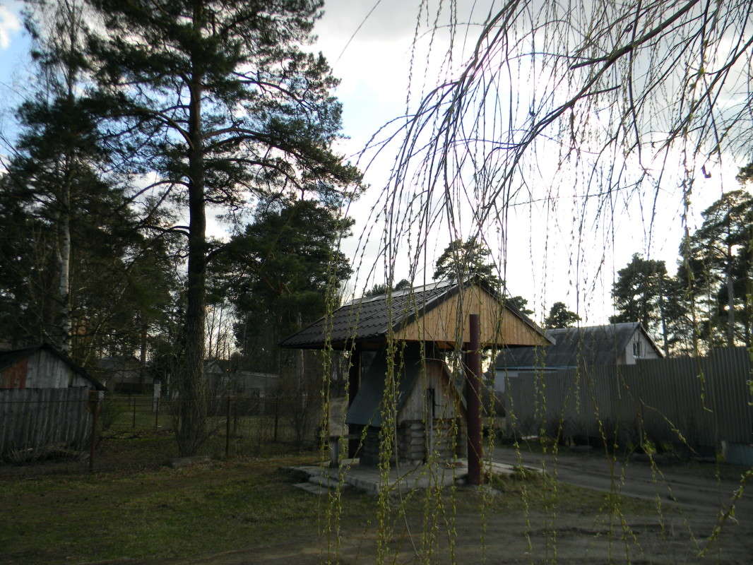 ...����� �������� ����... ����� ��������� �������  �� PhotoGeek.ru #������ ��� �������