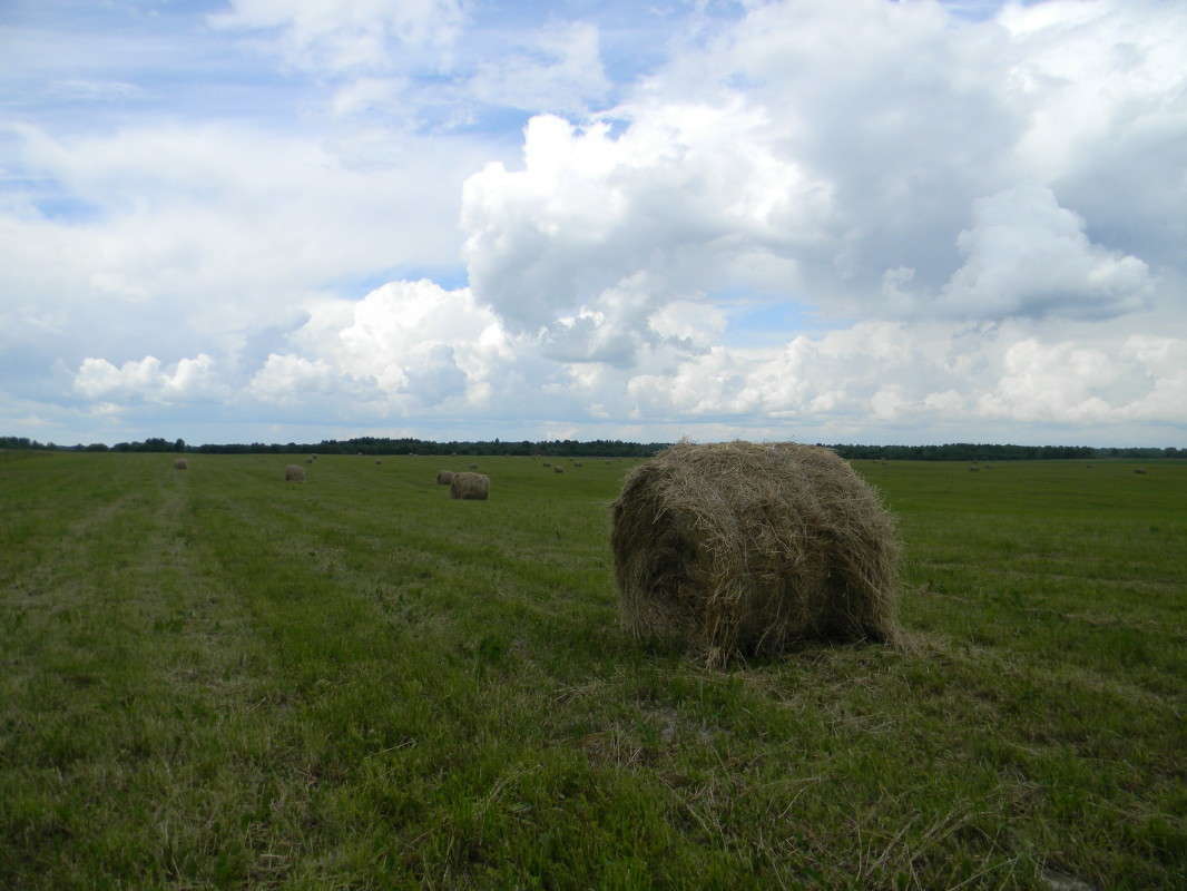 ... ����� ��������� �������  �� PhotoGeek.ru #������ ��� �������