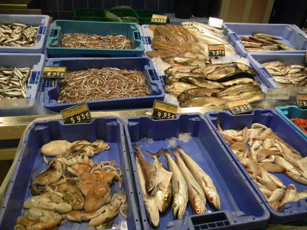 ...�������- ������ ����...)))) ����� ��������� �������  �� PhotoGeek.ru #��������