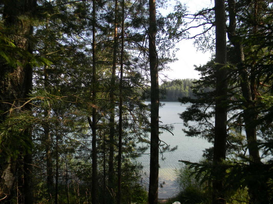 ...������ - ����� � ����...))) ����� ��������� �������  �� PhotoGeek.ru #������ ��� �������