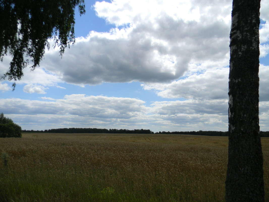 ...��������... ����� ��������� �������  �� PhotoGeek.ru #������ ��� �������