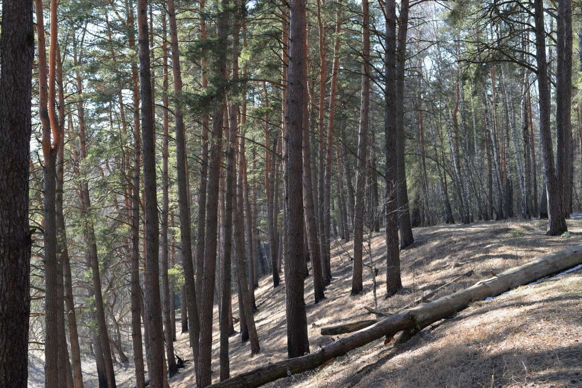 �������� ��� ����� ��������� �������  �� PhotoGeek.ru #������ ��� �������