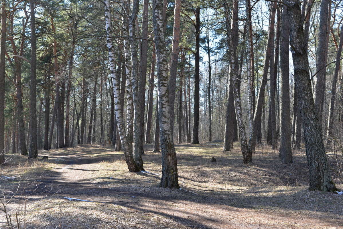 ������ ����� �� ������ �������!!!! ����� ��������� �������  �� PhotoGeek.ru #������ ��� �������