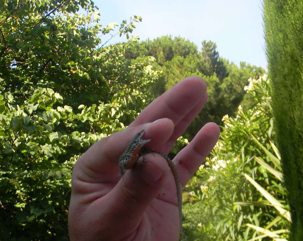 ... ����� ��������� �������  �� PhotoGeek.ru #�������� ��� #��������