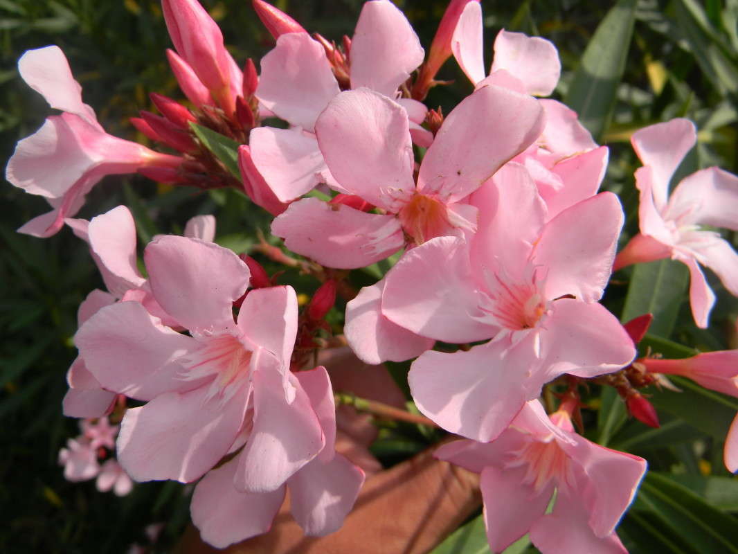 ... ����� ��������� �������  �� PhotoGeek.ru #������ ��� �������