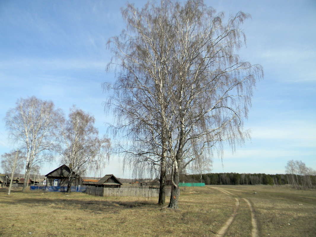 ��������� ����� ��������� �������  �� PhotoGeek.ru #��������