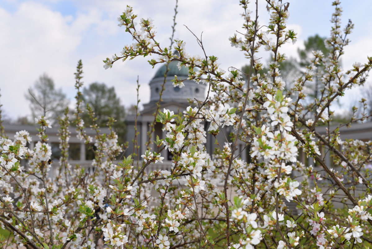 ... ����� ��������� �������  �� PhotoGeek.ru #������ ��� �������