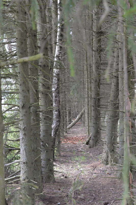 ...����... ����� ��������� �������  �� PhotoGeek.ru #������ ��� �������