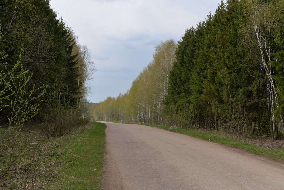 ... ����� ��������� �������  �� PhotoGeek.ru #��������� #��������