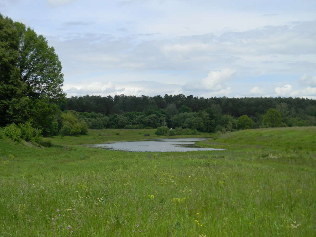 ...������ ��....��� � ����!!!:) ����� ��������� �������  �� PhotoGeek.ru #������ ��� �������