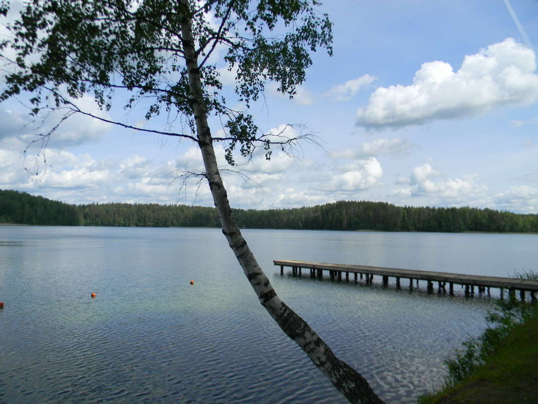 ������ 2016 ����� ��������� �������  �� PhotoGeek.ru #������ ��� �������