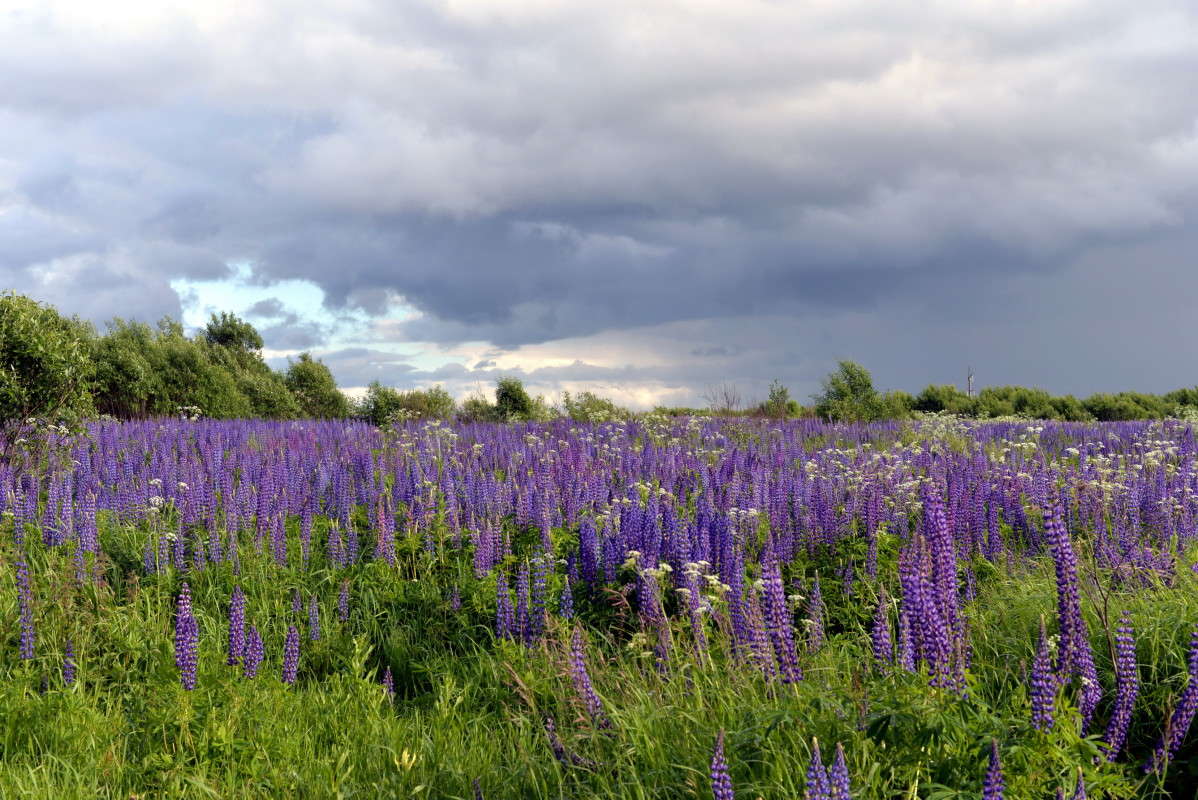 ... ����� ��������� �������  �� PhotoGeek.ru #������ ��� �������