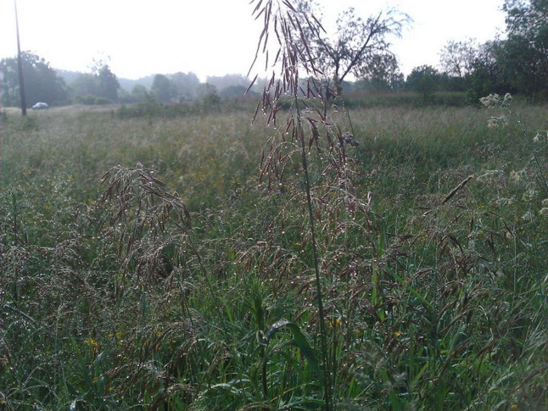 ......���� �� ��������.. ����� ��������� �������  �� PhotoGeek.ru #������ ��� �������