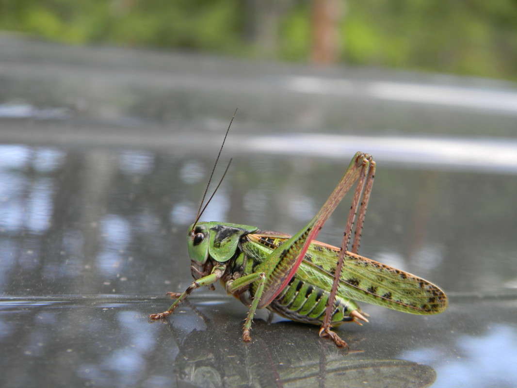 ... ����� ��������� �������  �� PhotoGeek.ru #�����