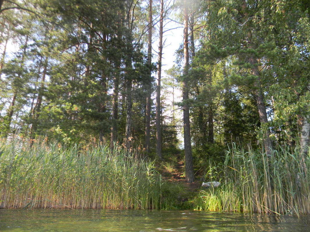 ... ����� ��������� �������  �� PhotoGeek.ru #������ ��� �������