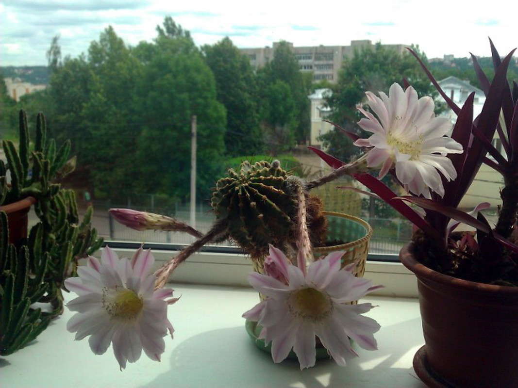 ...� ������ ��� ����� ����...:) ����� ��������� �������  �� PhotoGeek.ru #����� #������ ��� �������