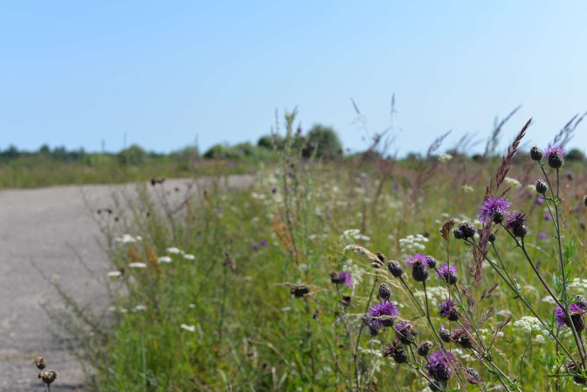 ...�� �������.. ����� ��������� �������  �� PhotoGeek.ru #������ ��� �������