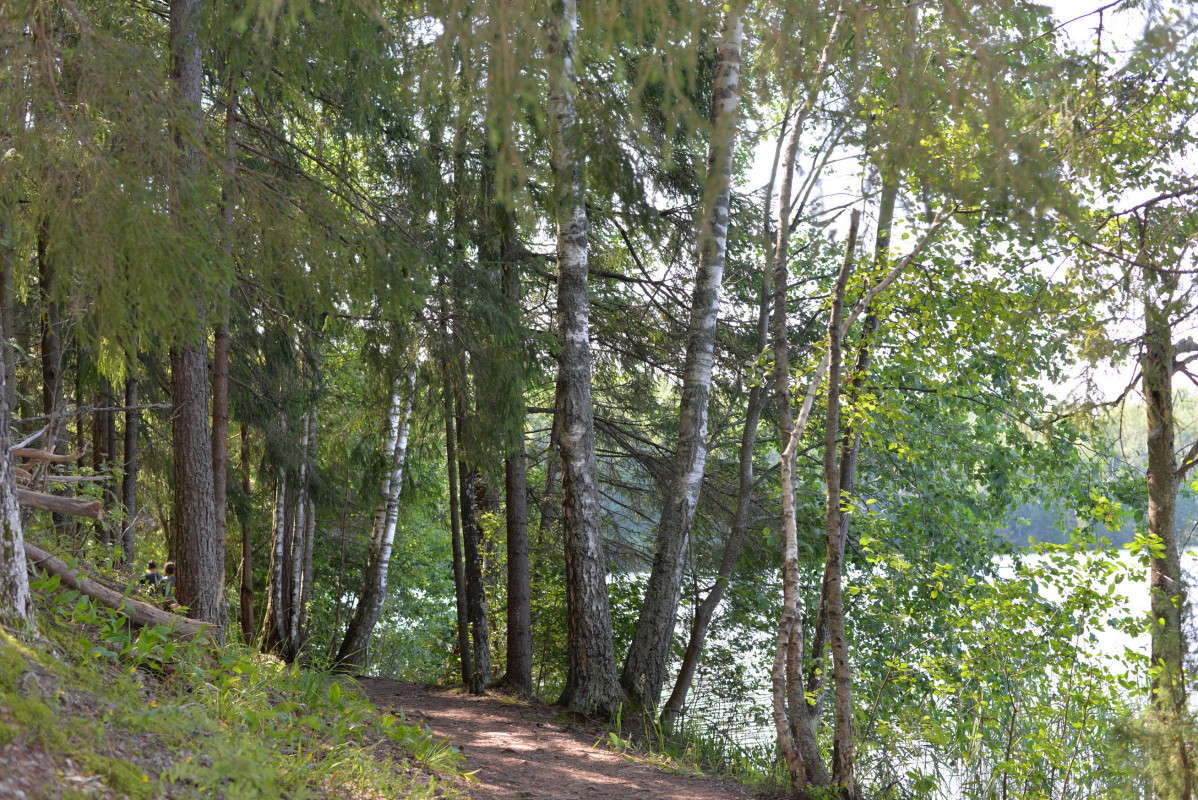 ������ ����� ��������� �������  �� PhotoGeek.ru #������ ��� �������