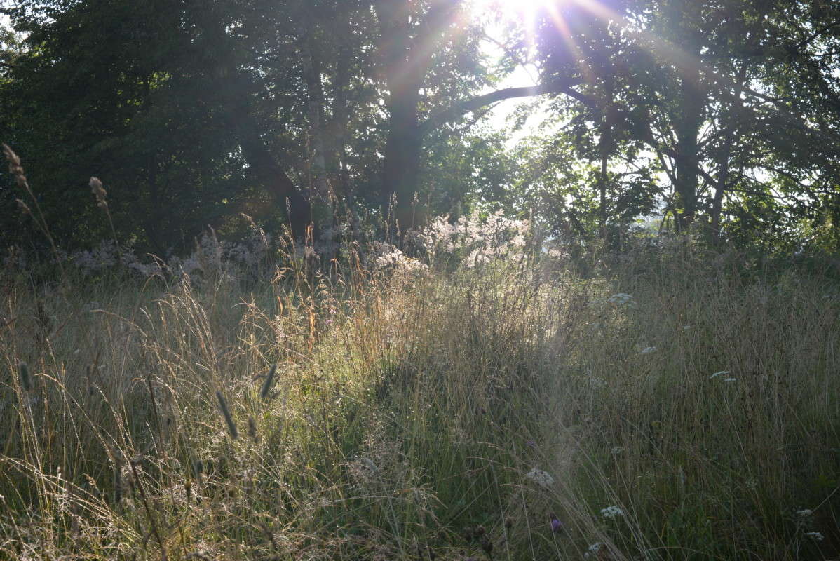 ������, ������!!!!:) ����� ��������� �������  �� PhotoGeek.ru #������ ��� �������