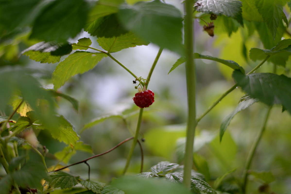 �������:))) ����� ��������� �������  �� PhotoGeek.ru #�����