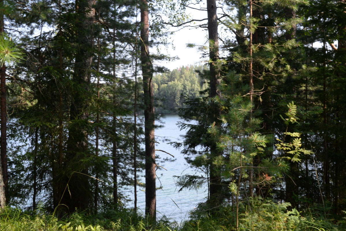 ...�� �������.. ����� ��������� �������  �� PhotoGeek.ru #������ ��� �������