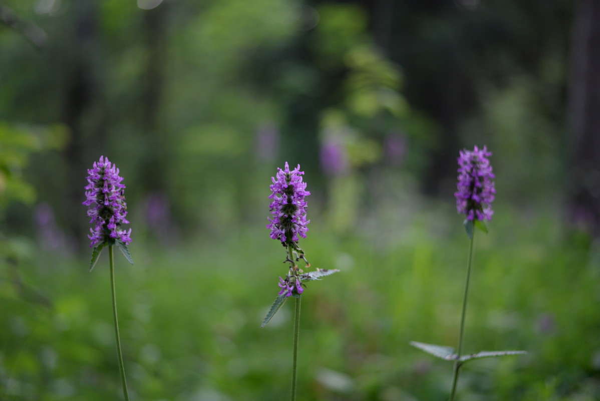 ...������.. ����� ��������� �������  �� PhotoGeek.ru #�����