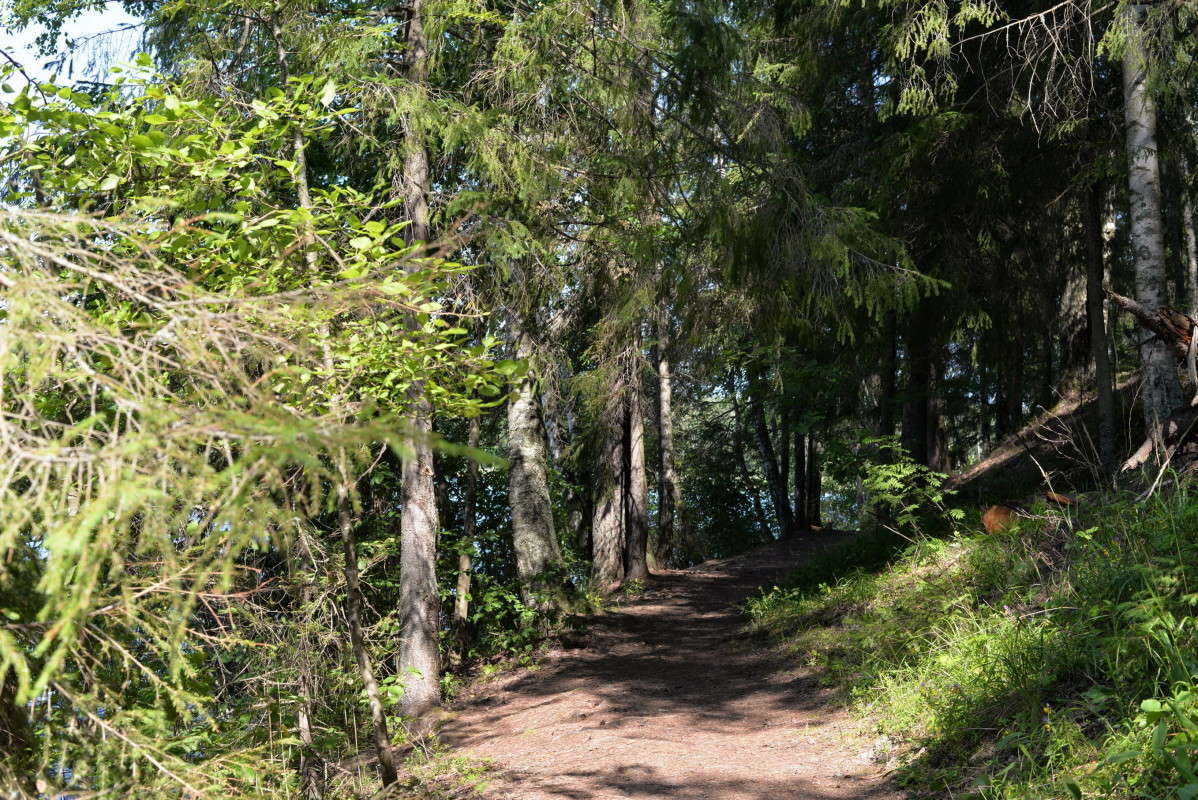 ...� �����.. ����� ��������� �������  �� PhotoGeek.ru #������ ��� �������