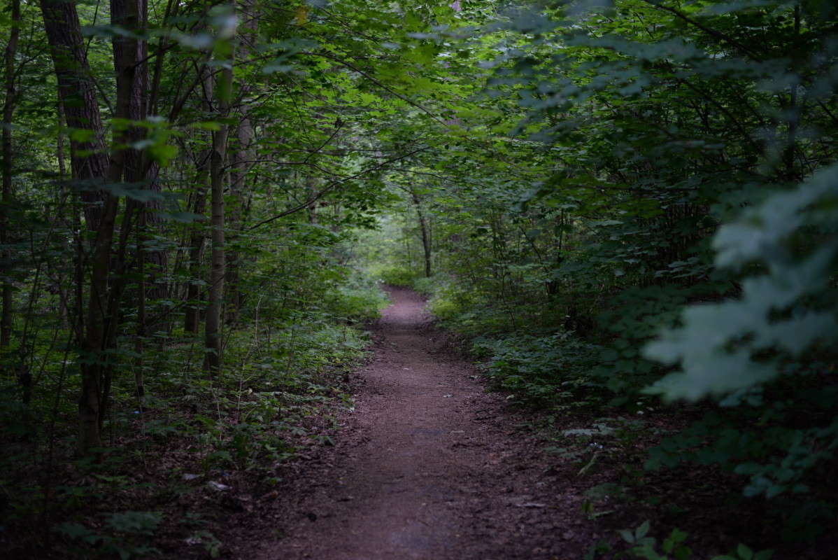 ...������ �����.... ����� ��������� �������  �� PhotoGeek.ru #������ ��� �������