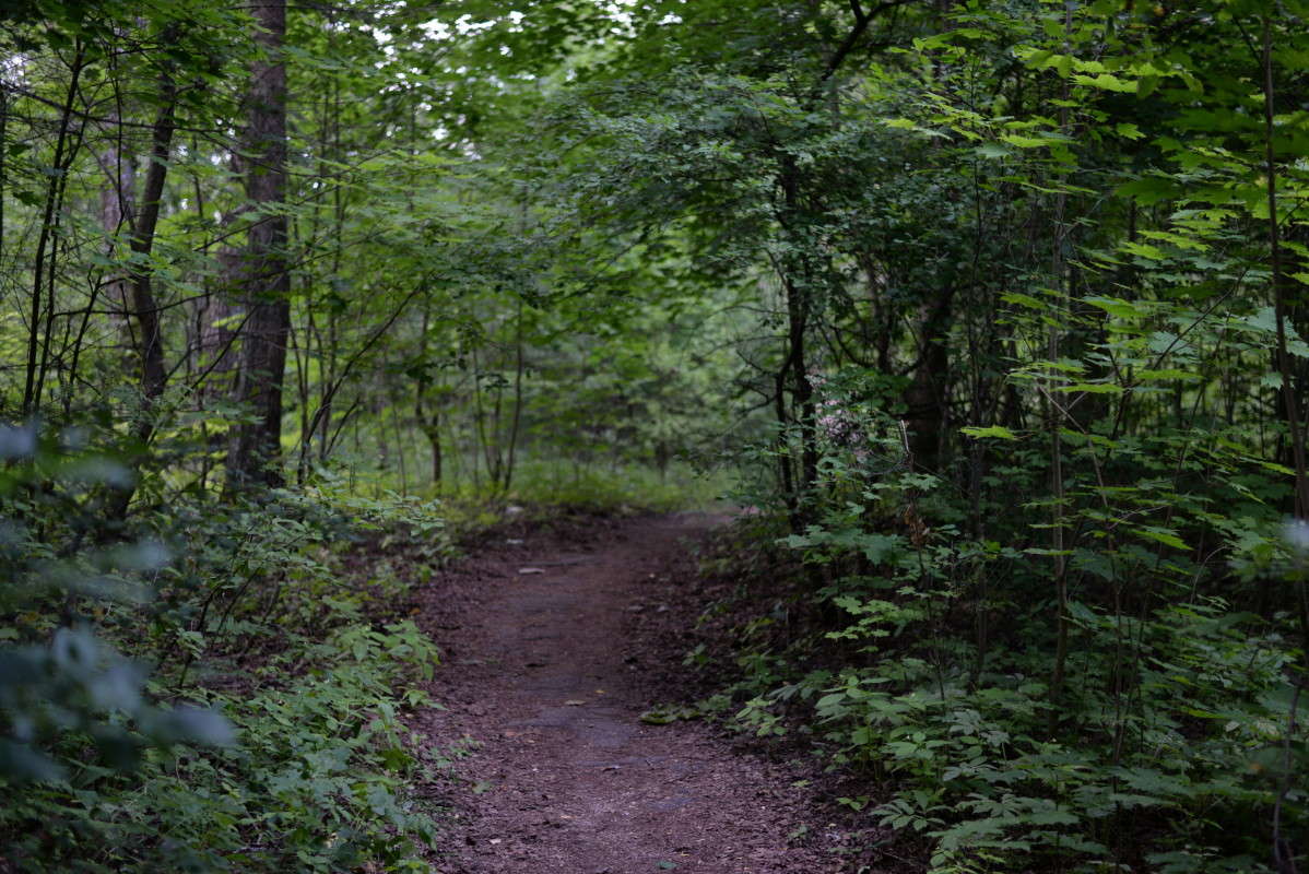 ...������ �����... ����� ��������� �������  �� PhotoGeek.ru #������ ��� �������