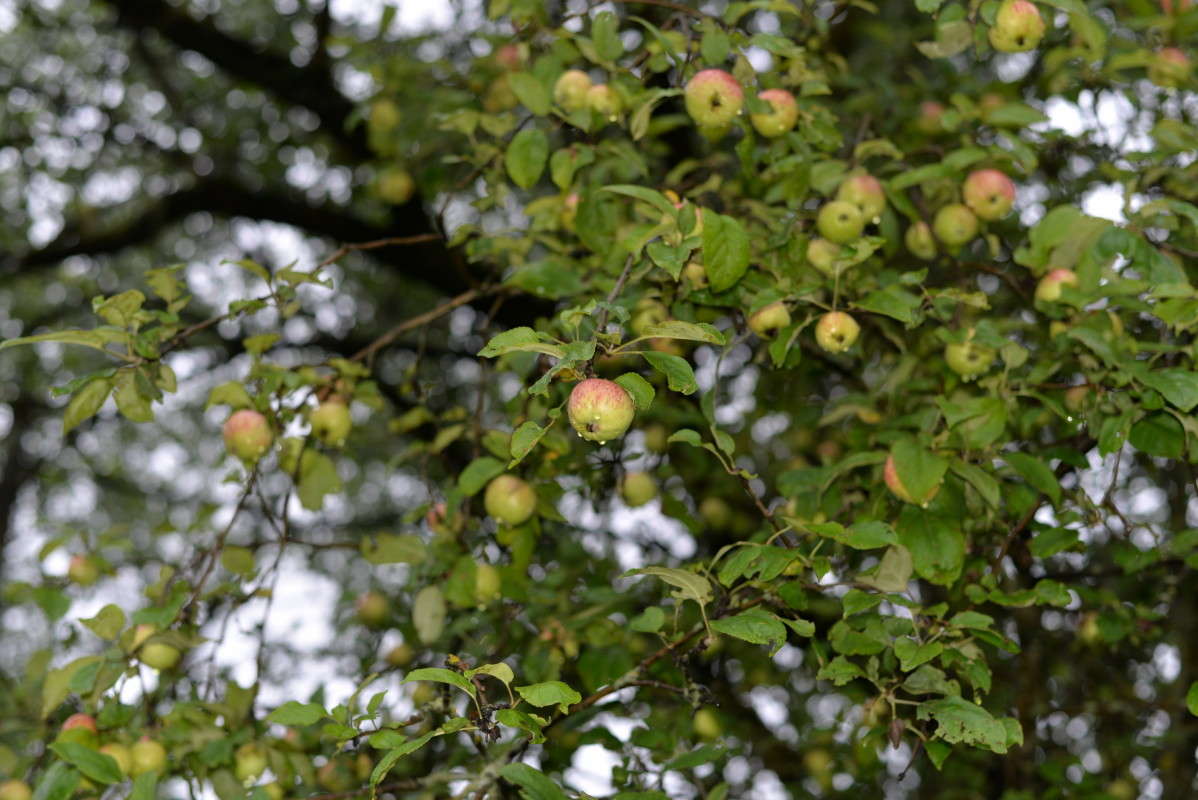 ...�����.. ����� ��������� �������  �� PhotoGeek.ru #������ ��� �������