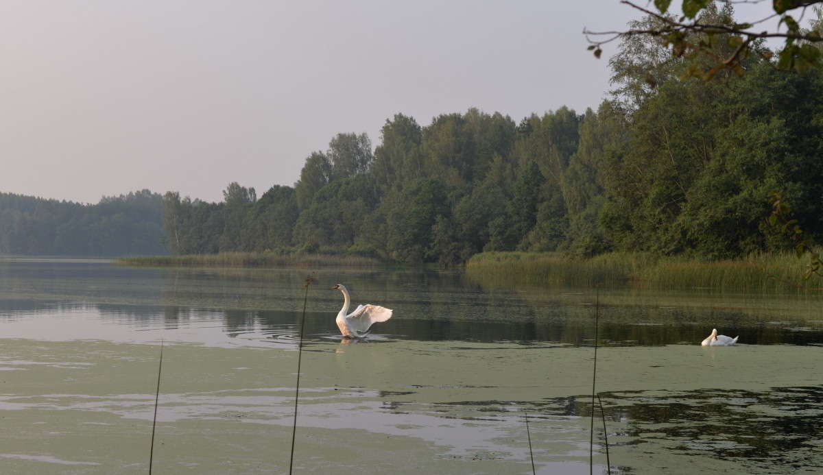 ... ����� ��������� �������  �� PhotoGeek.ru #������ ��� �������