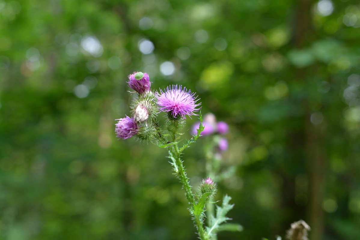 ...���������....:) ����� ��������� �������  �� PhotoGeek.ru #������ ��� �������