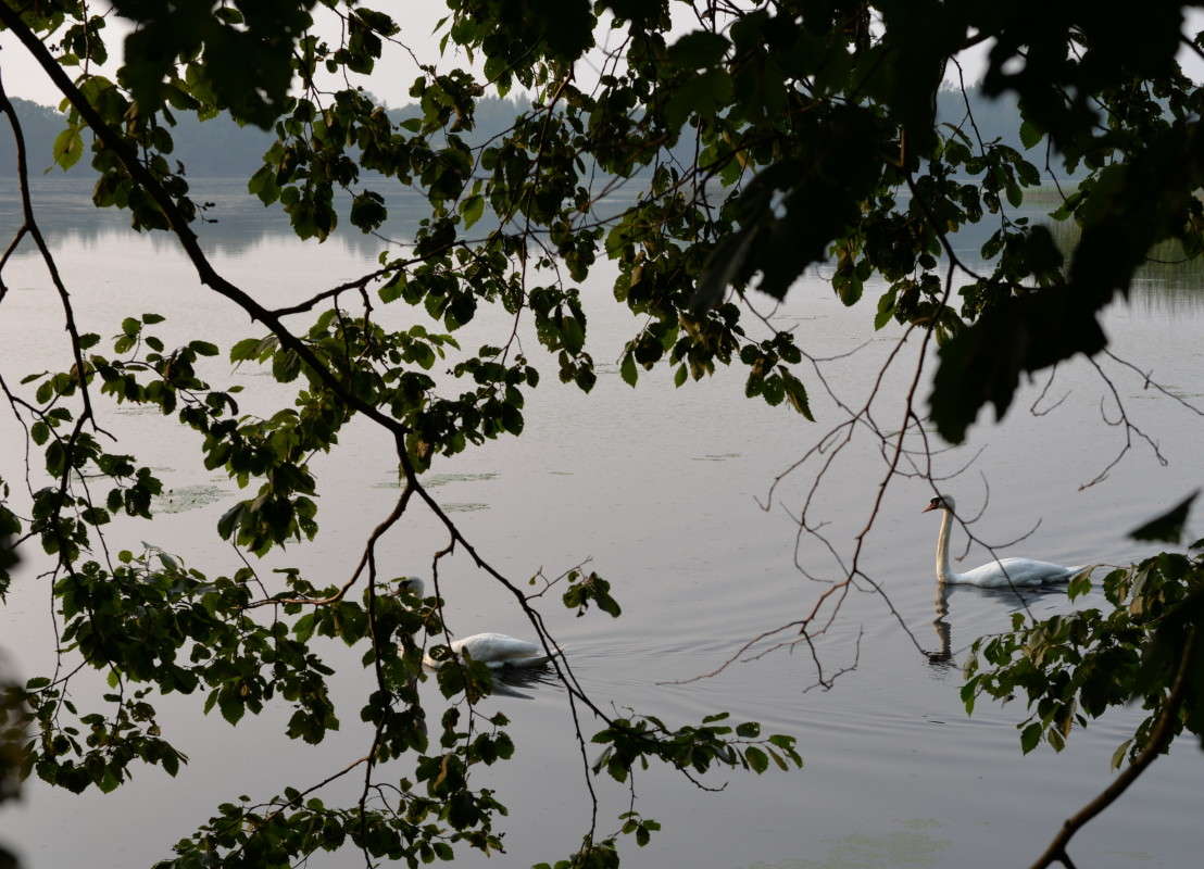 ... ����� ��������� �������  �� PhotoGeek.ru #������ ��� �������